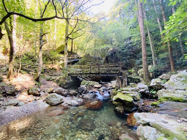 薬師谷渓谷　萬代の滝の橋