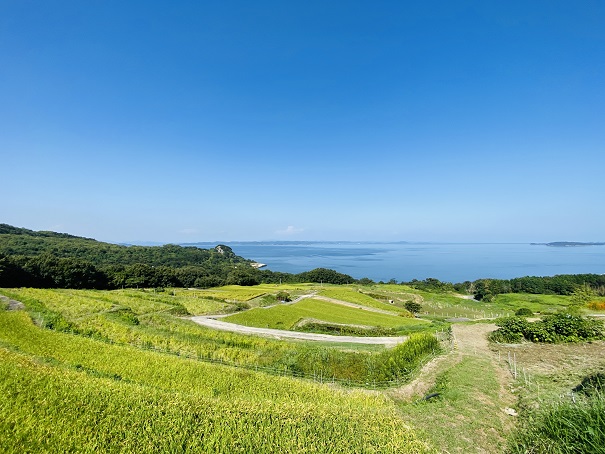 唐櫃の棚田と瀬戸内海