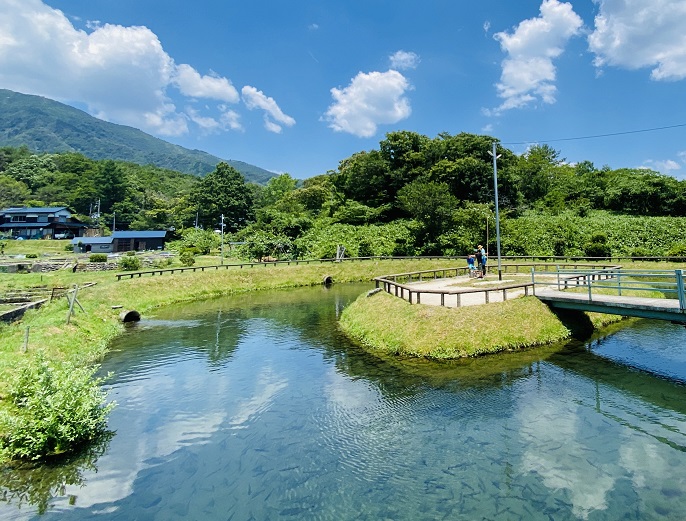 岡山県 おすすめ釣り堀6選 ニジマスやアマゴの渓流や海釣り