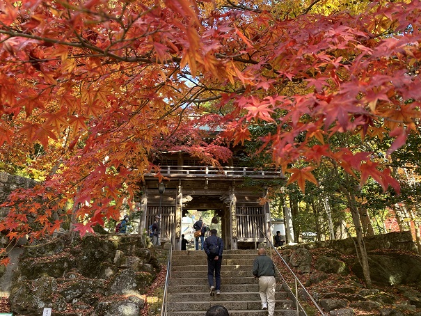 香川県 秋のおすすめ紅葉