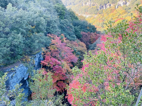 銚子渓　滝見展望台からの景色
