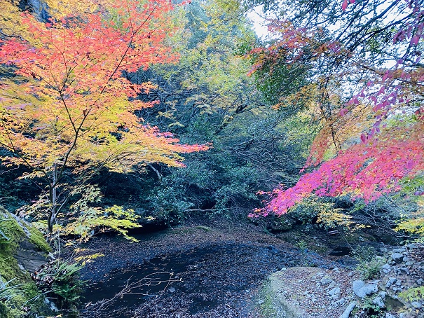 銚子渓　紅葉