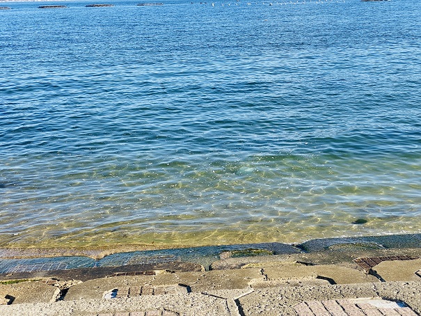 女木島県営野営場　海の水質