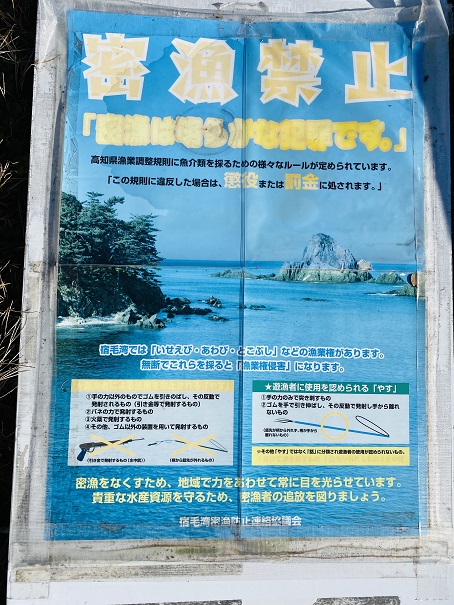 竜ヶ浜キャンプ場　密漁禁止