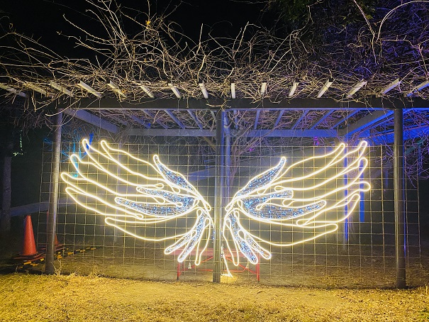 ふれあいパークみの　光の祭　天使の羽