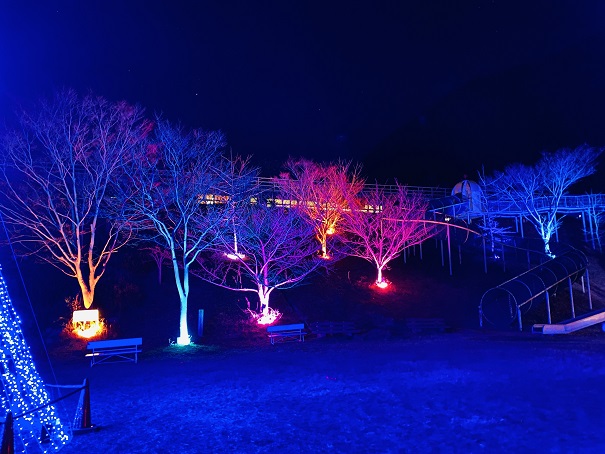 ふれあいパークみの　光の祭　光る木々