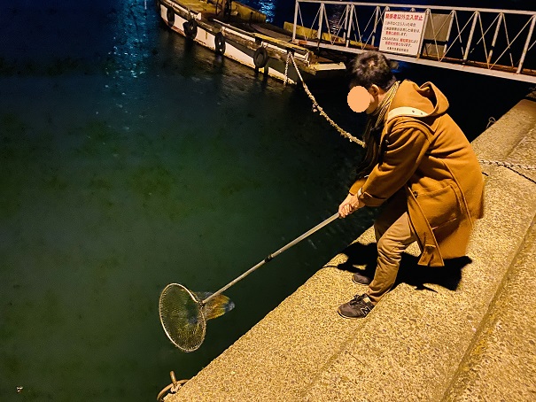 防波堤から見えるイカを網で取る方法