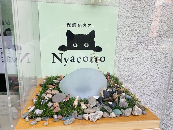 保護猫カフェNyacotto（ニャコット）看板