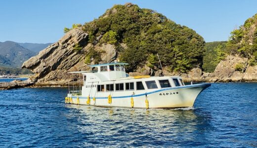 竜串観光汽船グラスボート サンゴ礁とカラフルな熱帯魚鑑賞