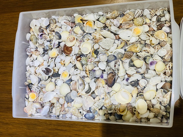海のギャラリー　キャンドル作り体験　貝