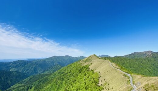 高知県 春のおすすめ観光スポットや遊び 体験 旅行 割引ﾌﾟﾗﾝ