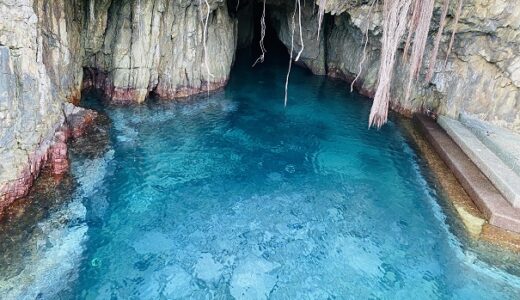 松尾漁港 青の洞窟 海老洞と樹齢300年のアコウ 土佐清水市