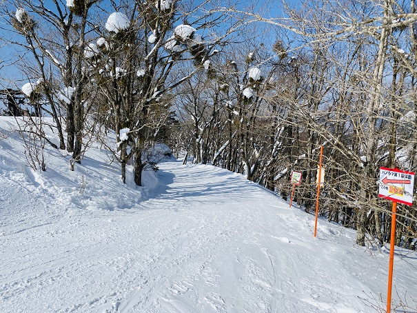 恩原高原スキー場　パノラマ第1表コースへ行く林道