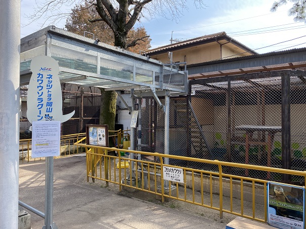 池田動物園　カワウソラグーン
