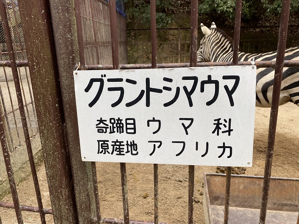 池田動物園　グラントシマウマ看板
