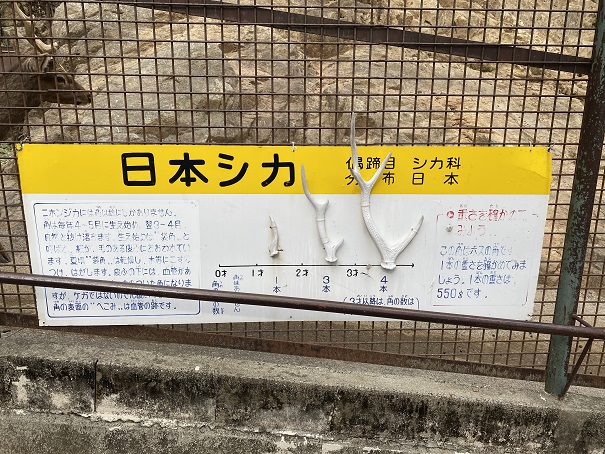 池田動物園　日本シカ看板