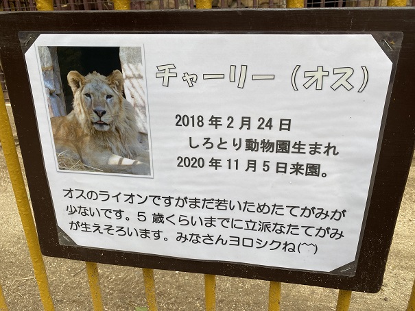 池田動物園　ライオン看板