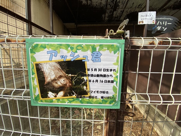 池田動物園　ヤマアラシ看板