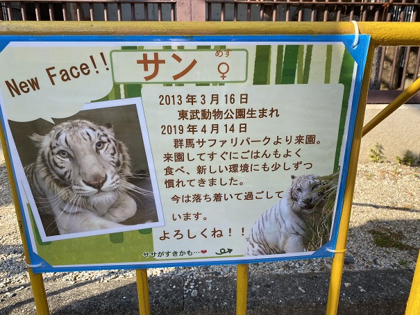 池田動物園　ホワイトタイガー看板