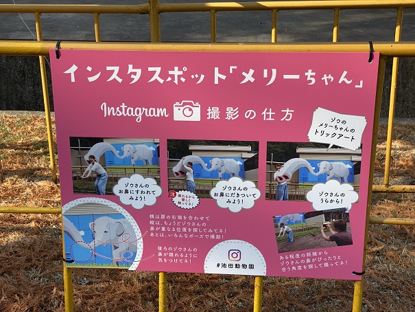池田動物園　インスタスポットメリーちゃん説明