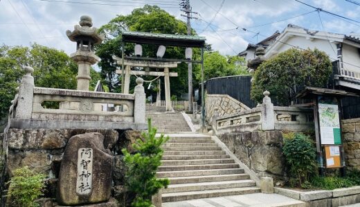 阿智神社 岡山県天然記念物の藤の花と初詣の参拝 倉敷市