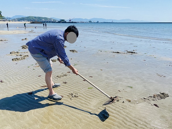 マテ貝のとり方　砂を掘る