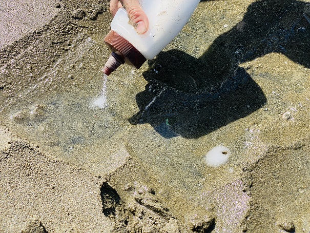 梅津寺海水浴場　マテ貝の穴に塩をかける