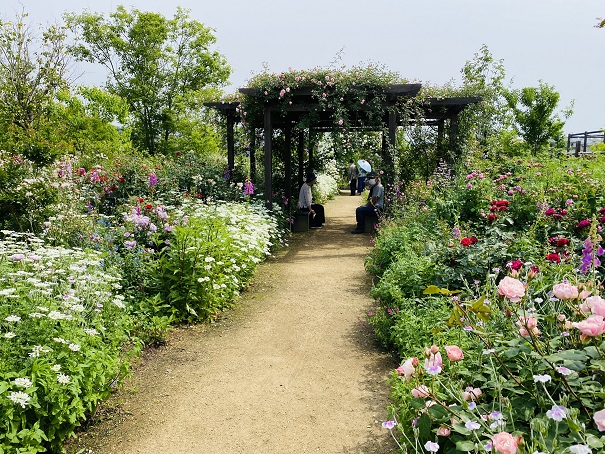 仏生山の森ガーデン　バラの庭