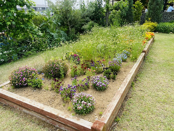 仏生山の森ガーデン　ハーブの庭　花壇