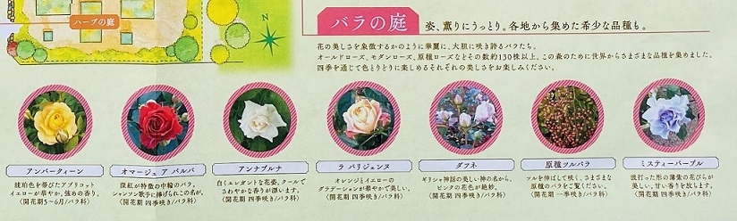 仏生山の森ガーデン　バラの庭　花紹介