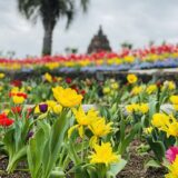 レオマ花ワールド 花いっぱい オリエンタルトリップ 丸亀市