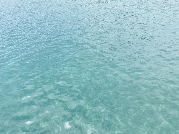 興津海水浴場　透明度の高い海