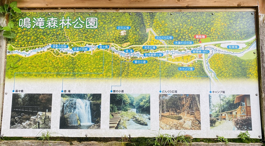 鳴滝森林公園　案内図