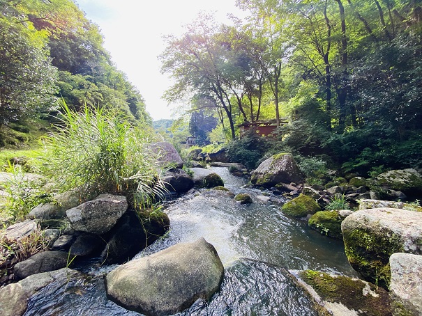 鳴滝森林公園　加茂川の流れる様子