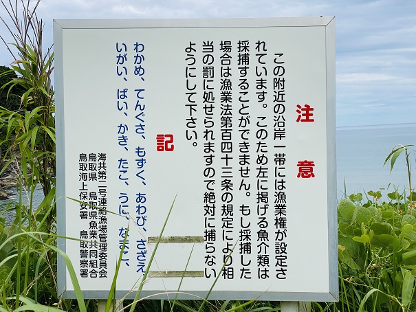 井手ヶ浜海水浴場　密漁禁止