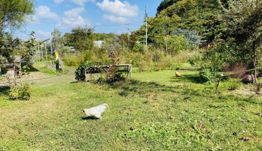 犬島くらしの植物園 瀬戸内国際芸術祭 自給自足の庭とﾆﾜﾄﾘ