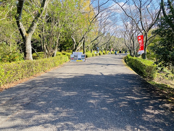 公渕森林公園　遊歩道