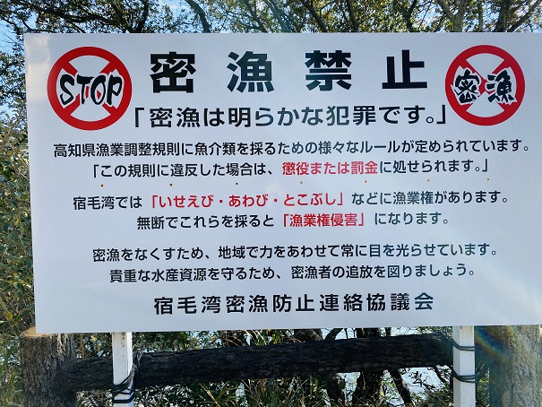 樫西海水浴場　密漁禁止