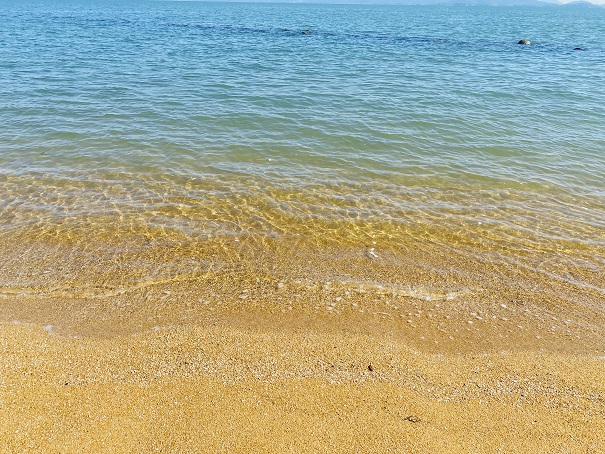 宝伝海水浴場　透明度高い海