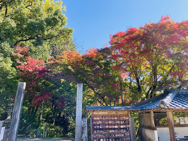 箸蔵寺　絵馬と紅葉