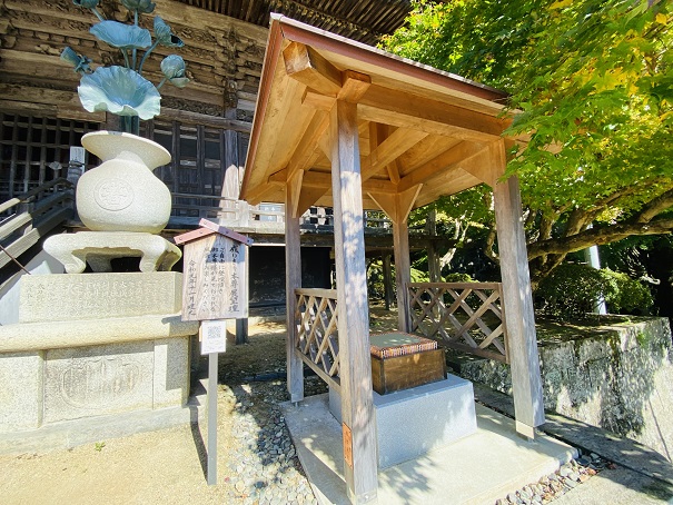 箸蔵寺　なりきり本尊展望壇