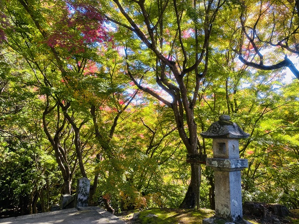 箸蔵寺　石燈籠と紅葉