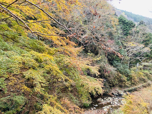 美霞洞渓谷　橋から見た紅葉