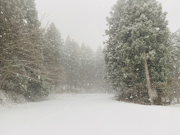 上林森林公園の冬の積雪の風景