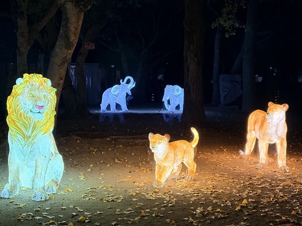 丸亀イルミネーション　市民広場動物