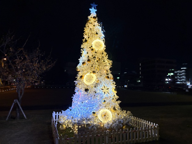 丸亀市民広場　クリスマスツリー