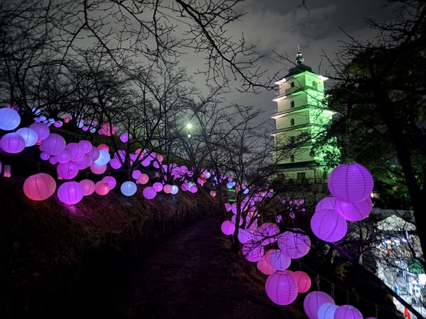 たどつ桜んたんページェント