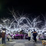 桃陵公園イルミネーション