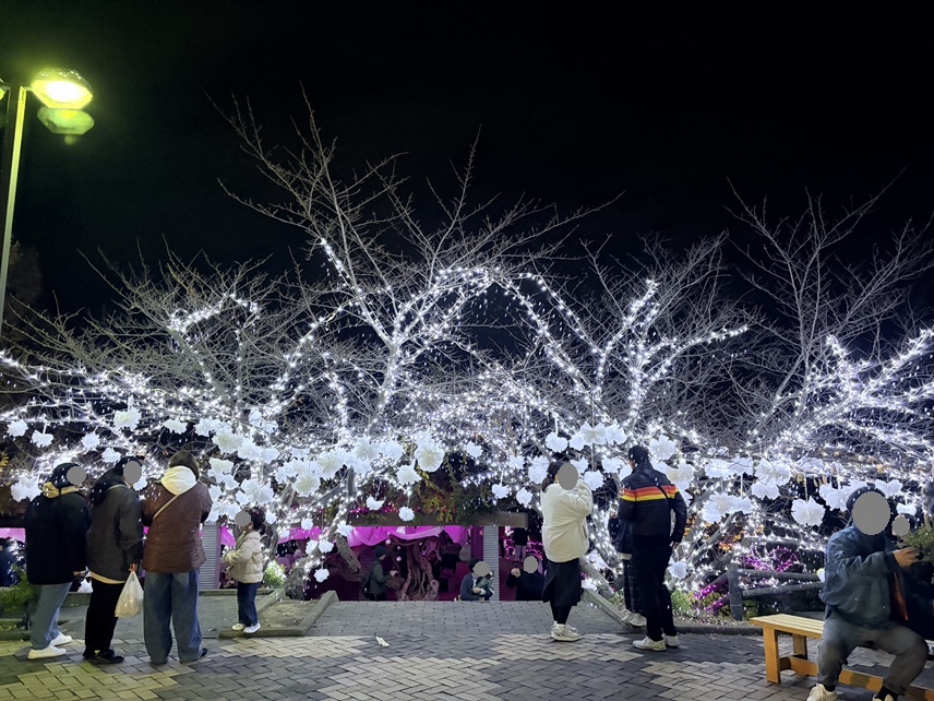 桃陵公園イルミネーション