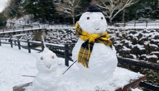 奥の湯ふれあいの里 公園キャンプ場 雪遊び 雪だるま 雪合戦 高松市